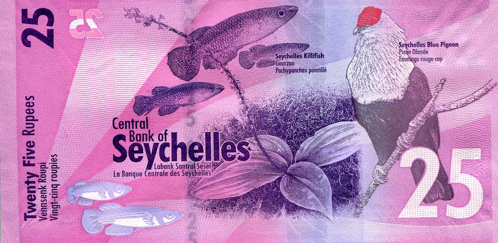 Сейшелы 25 SCR — оборотная сторона